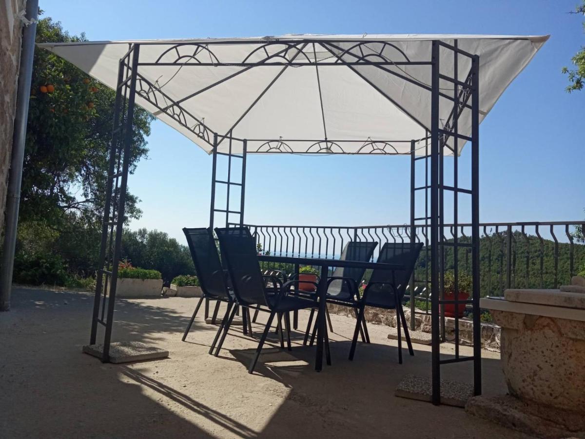 Holiday Apartments Maslina Paho Babino Polje Екстериор снимка