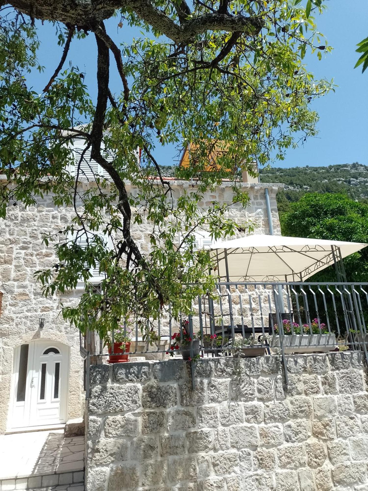 Holiday Apartments Maslina Paho Babino Polje Екстериор снимка